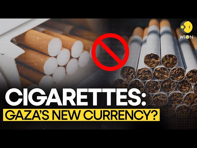 Gaza: Cigarette Packs Sold For $1,000, Regulated Aid Sparks Increase In Smuggling | WION Originals