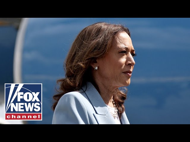 Harris surrogate admits she felt 'misled': 'Billion-dollar disaster'