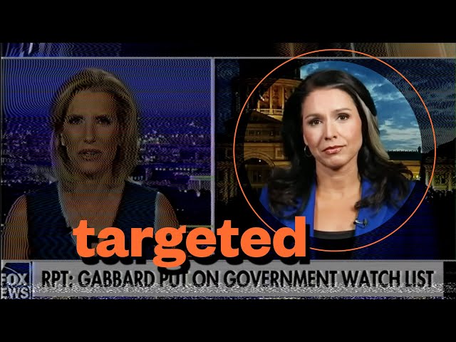 Tulsi Gabbard TARGETED by TSA: ‘Quiet Skies’ sent agents to follow her.