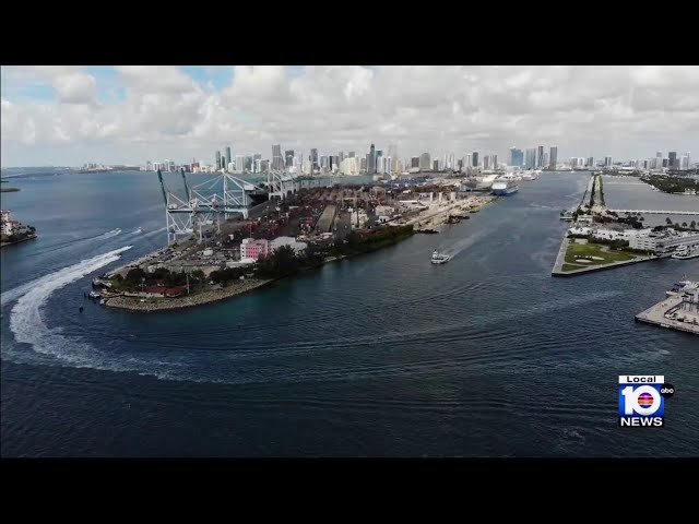 Port Everglades corals being surveyed ahead of widening $1.3 billion project