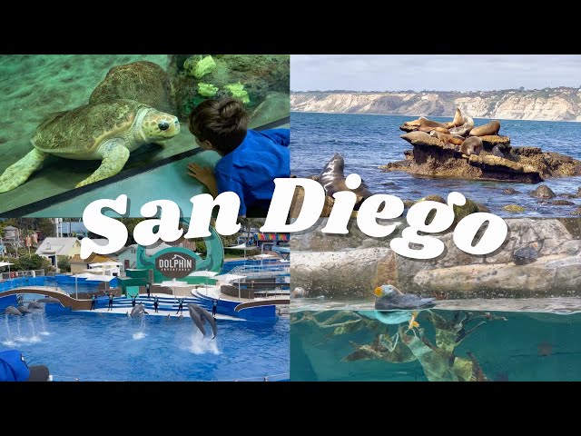 San Diego - La Jolla | Seaworld