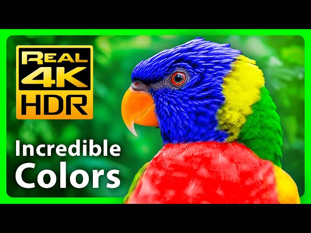 The Most Beautiful Nature Colors in Stunning 4K HDR & Relaxing Music