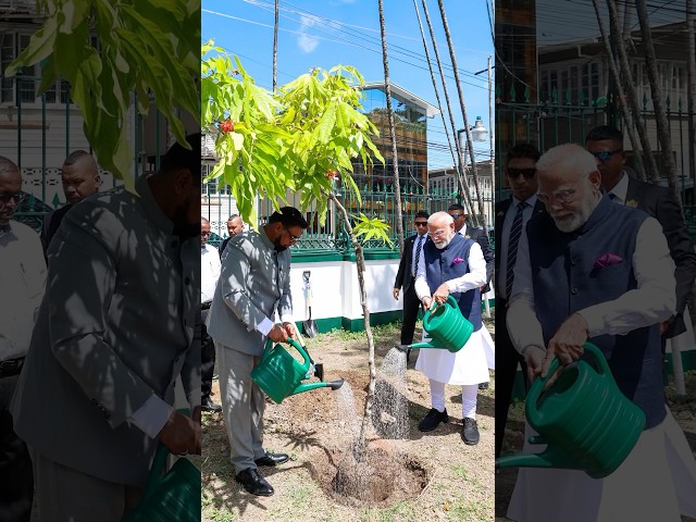 PM Modi takes part in Ek Ped Maa Ke Naam initiative in Guyana | #shorts