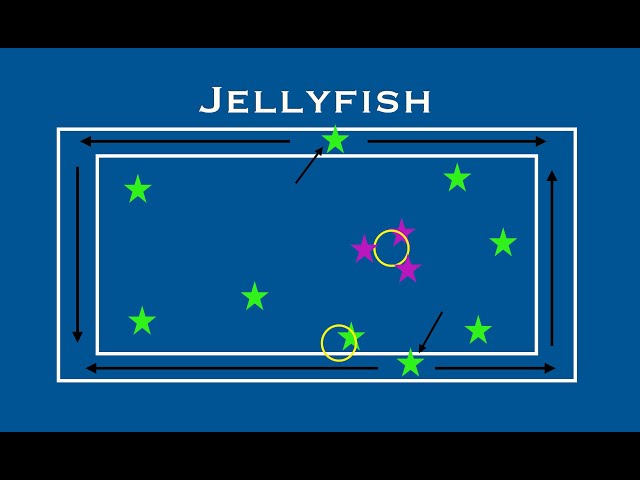 Jellyfish game