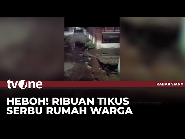 Fenomena Ribuan Tikus Menyerbu Permukiman Warga, Pertanda Apa? | Kabar Siang tvOne