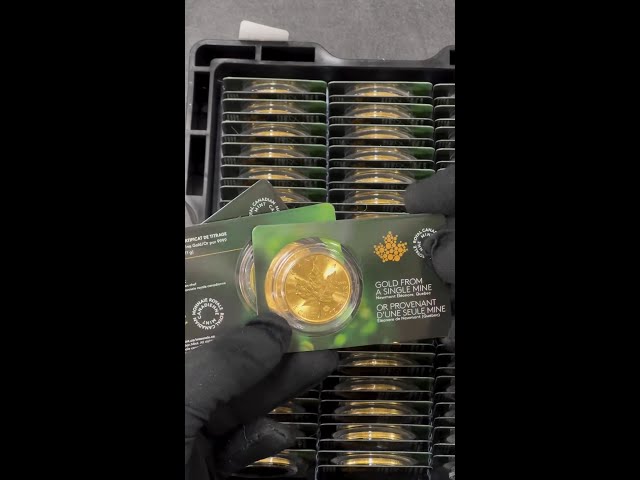 1 oz Canadian Gold Maple Leaf