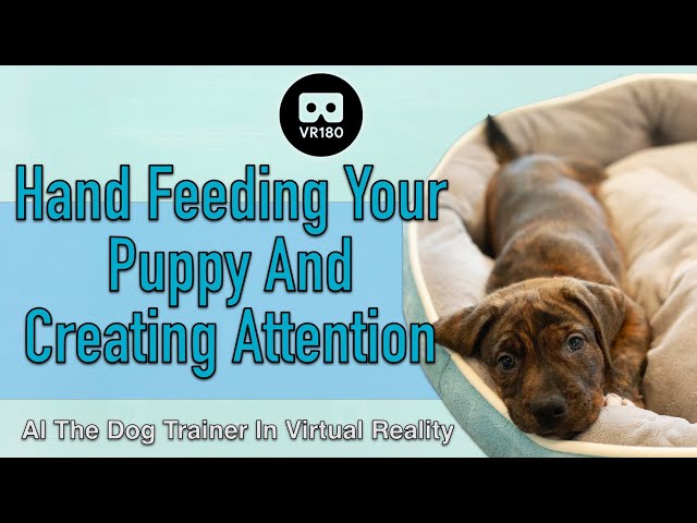 Hand Feeding your Puppy and Creating Attention - Gus the Catahoula in 3D Virtual Reality!