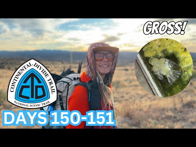 I drank dead bird water 😭 | CDT Days 150-151