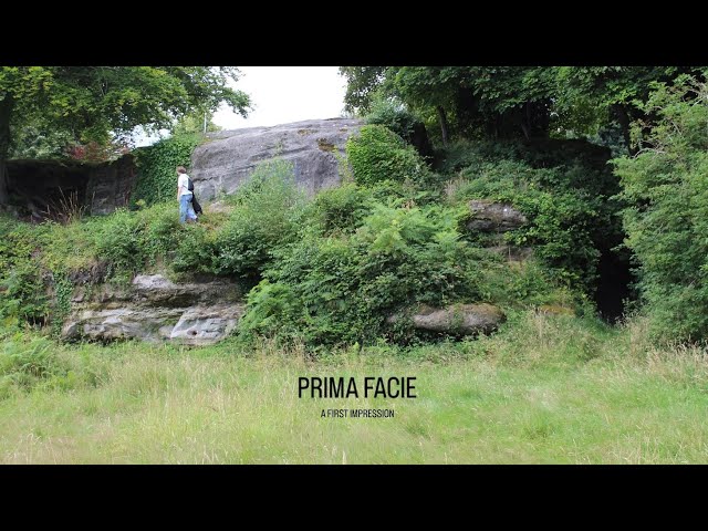 Prima Facie Parkour