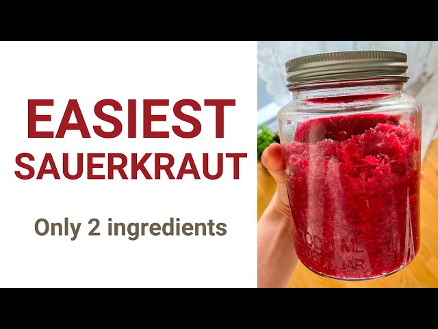 Quick & Easy Homemade Sauerkraut Recipe - Packed with Gut-Healthy Probiotics