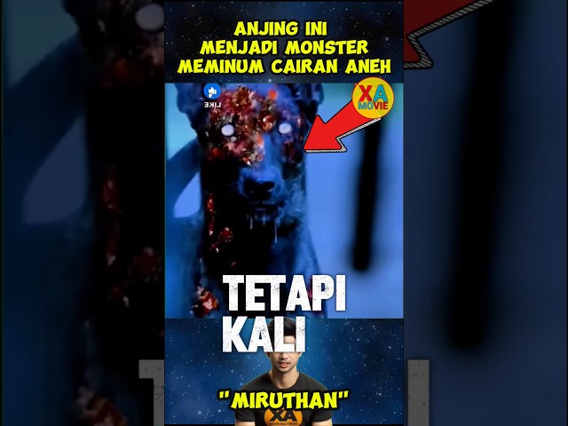 Ngeri!! Akibat kesalahan petugas anjing ini jadi monster ganas #filmshorts #film #movie #reviewfilm