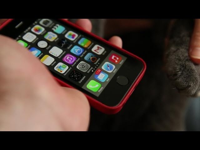 iPhone 5s Cat's Paw Test | TechCrunch