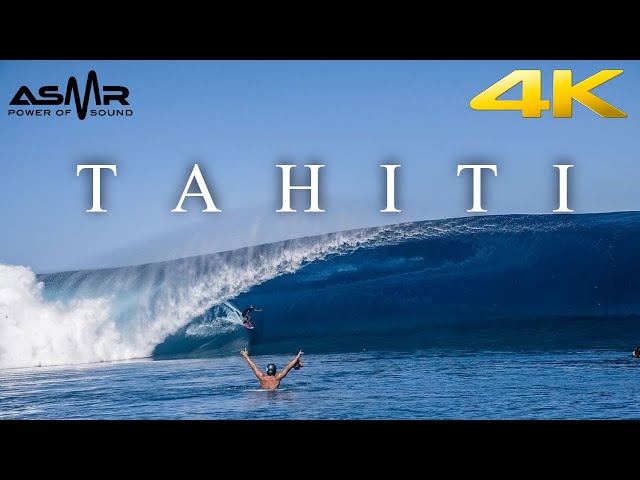 🔵4k (ASMR) 10 Hour Store Loop - Tahiti Surfing - With Relaxing Music☑️