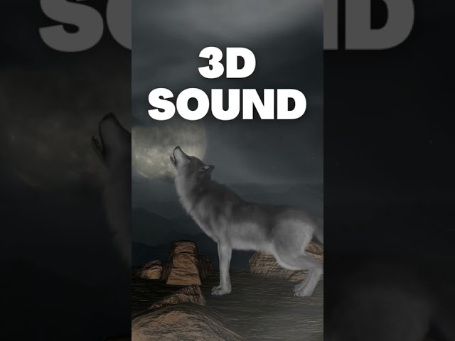 Wolf Howl 3d sound effect