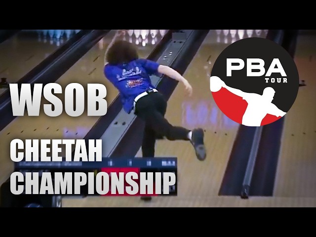 WSOB CHEETAH HIGHLIGHTS