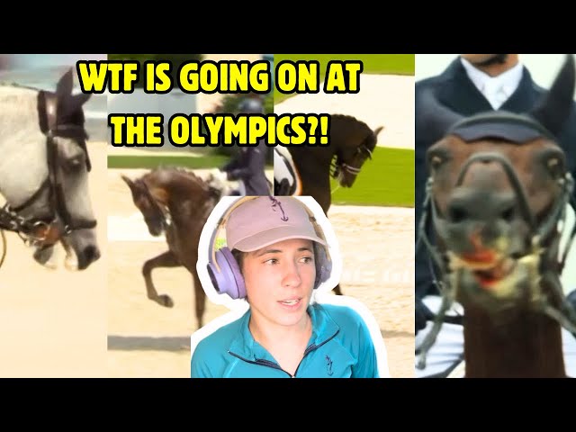 Paris Olympic Equestrian Sports: A WELFARE DISASTER | Horse Behaviour Specialist Speaks Out