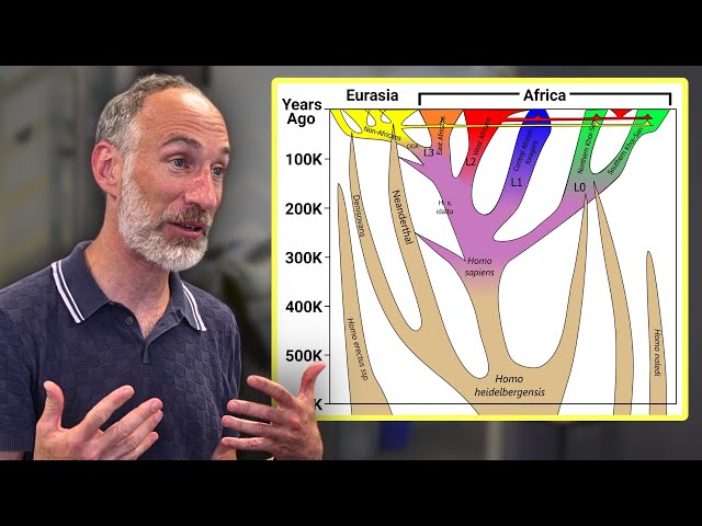 A key period in human evolution wasn't in Africa – David Reich