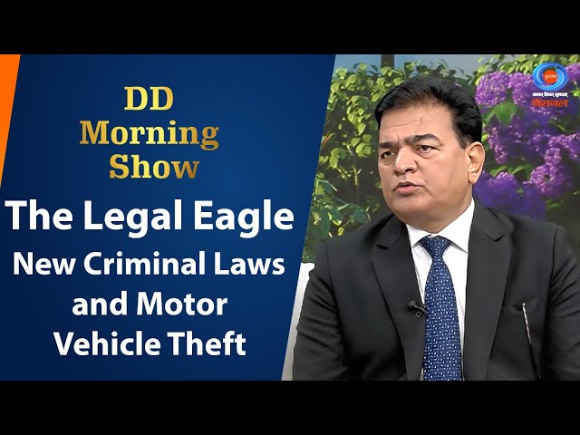 DD Morning Show | The Legal Eagle | New Criminal Laws and Motor Vehicle Theft | 12th November 2024