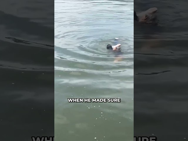 Old Man Saves Lady From Drowning! 👏