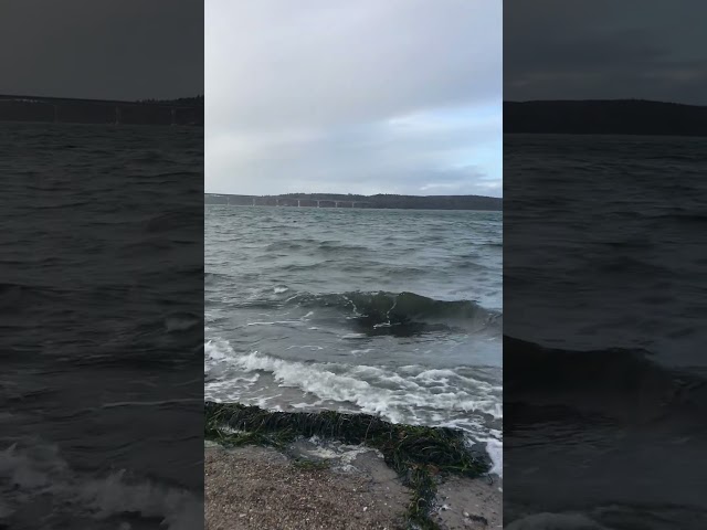 Glyngøre beach 🥶🏖🥶 in Denmark 🇩🇰 #cold #rain #beach #denmark #cosyatmosphere