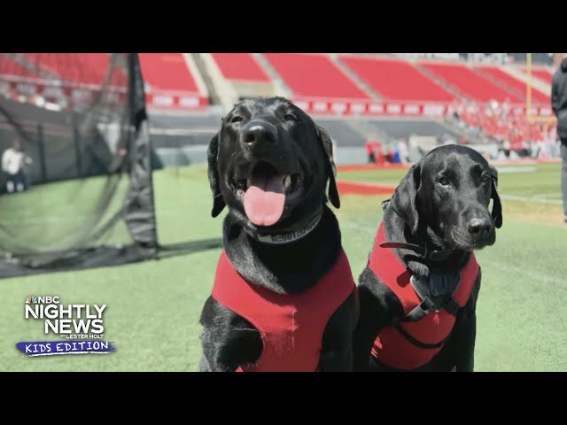 Meet 'tee-rific' pups, Ripken and Champ, making a difference on the field