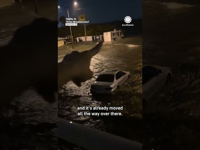 Flooding Bystander: "My Car is Literally Going to Get Sucked Into the Ocean"