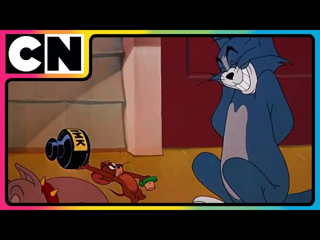 Tom & Jerry’s Fun Fest! 🤩 | #tomandjerry | Funny Cartoon video 😆 | Compilation | Non Stop | @cnindia