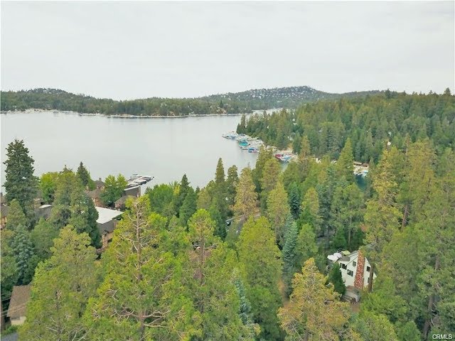 Lake Arrowhead Lake View Home for Sale: 162 C Lane.