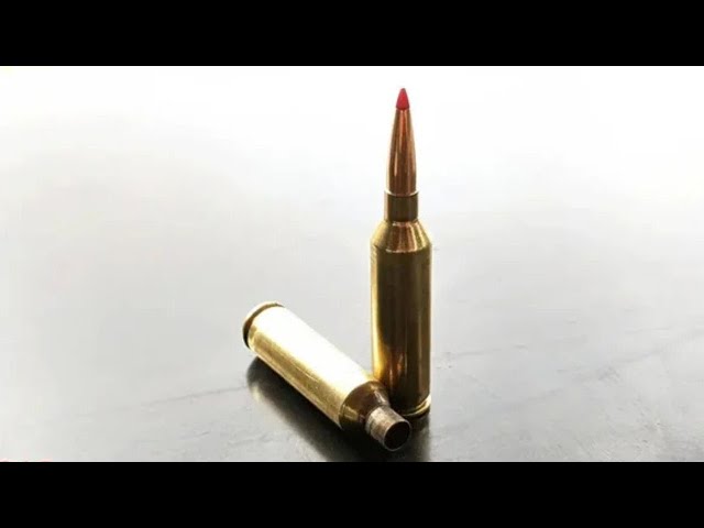 22 Creedmoor: The Best Creedmoor