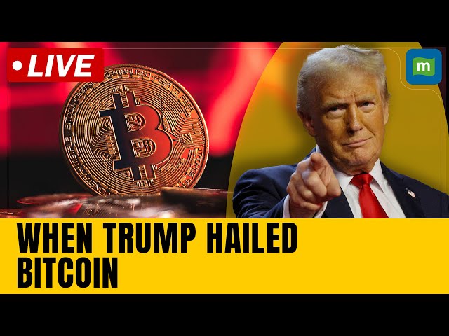 When Trump hailed Bitcoin | Bitcoin marches towards $100,000 on optimism over Trump plans | N18G