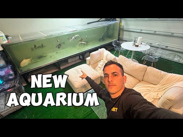 NEW 16-Foot Long Aquarium + Moving MONSTER FISH