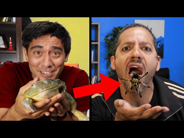 David Blaine Tricks Zach King with Zoom Magic