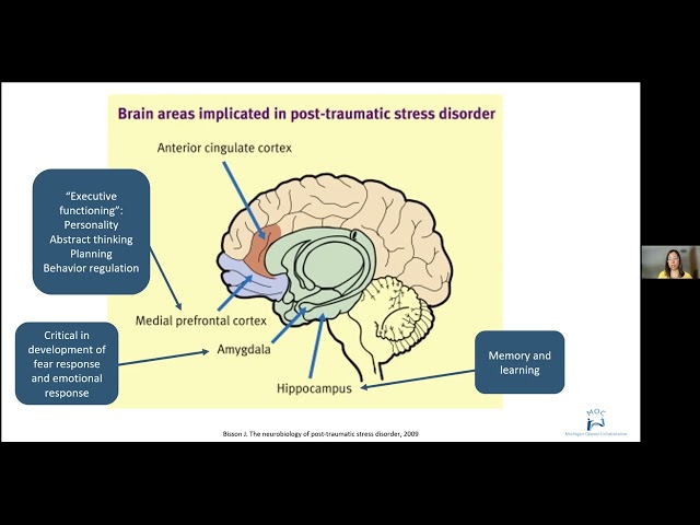 MOC 2022: Trauma and Substance Use Disorder - Delivering Trauma Informed Care