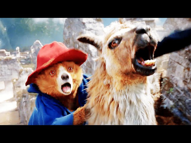 El Dorado Scene | PADDINGTON IN PERU (2024) Movie CLIP HD