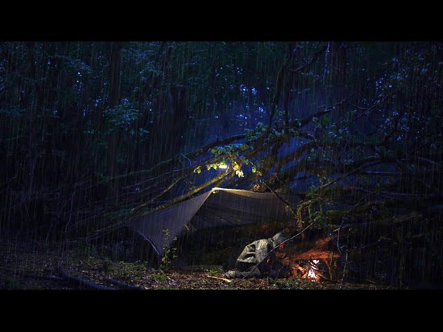 Camping in a Rainstorm: Surviving a Dark & Gloomy Rainforest