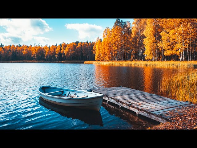 Feel The Last Moments Of Autumn 2024 🍂 Extremely Effective Relaxing Autumn Music 🍁Autumn Colors🌈