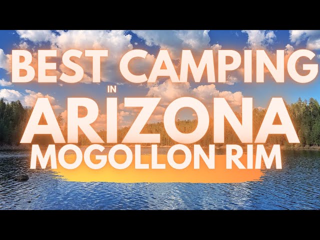 Arizona Day Trip to Mogollon Rim From Phoenix