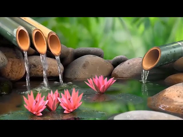 🔴Beautiful Piano Music - Relaxing Music for Sleep, Studying & Relaxation, Calming Music, Meditation.