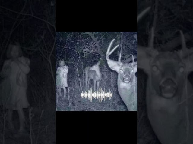 Real Wendigo Sounds Caught On Camera😱 #wendigo #sound #caughtoncamera #camera #real #shorts