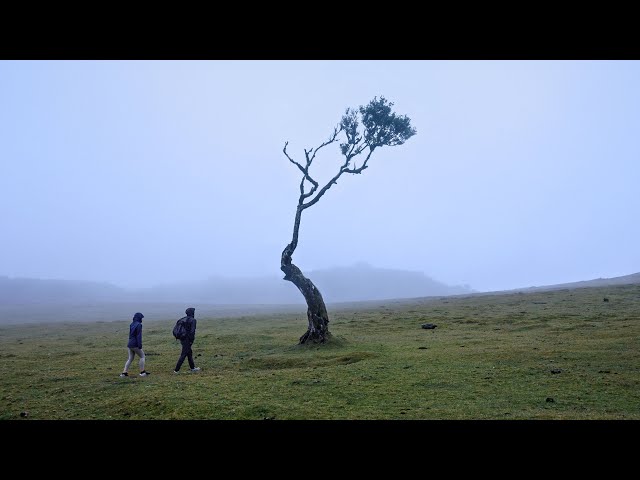 Hiking for 4 days in Madeira Portugal | 4K HDR