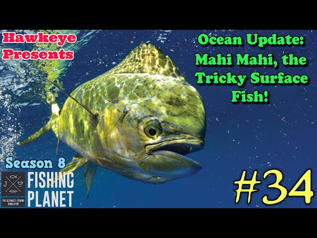 Fishing Planet #34 - S8 - Ocean Update: Mahi Mahi, the Tricky Surface Fish!