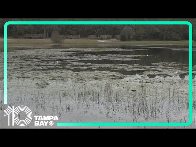 Florida Girl Scouts find new ways to learn about water conservation