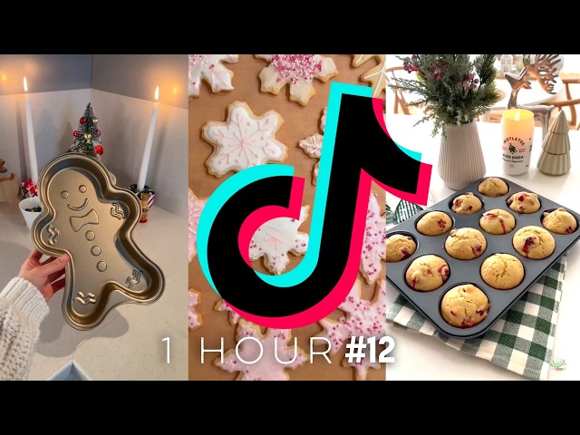 1 HOUR OF CHRISTMAS TIKTOK’s | 47 Days! | No.12