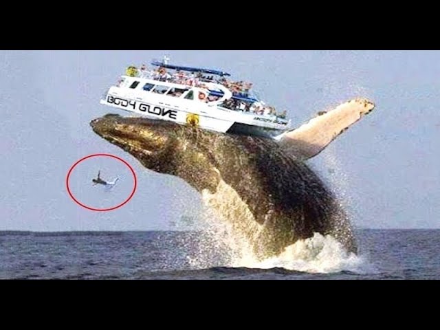 UNBELIEVABLE Moments CAUGHT ON Camera! U Cant Stop Watching