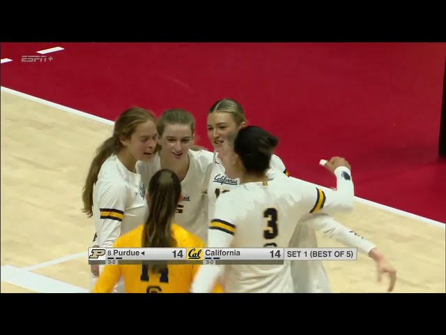 California vs #8 Purdue | NCAA Women Volleyball 09/06/2024