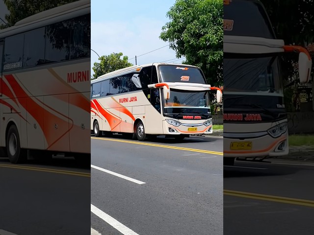 BIG BUS MURNI JAYA TELOLET BASURI MESIN HINO NGEBUT OLENG #shorts #trending #subscribe