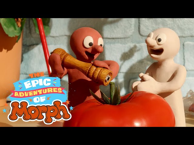 Beanstalk 🌱 THE EPIC ADVENTURES OF MORPH | Episode 10