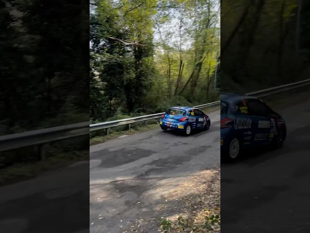 Peugeot 208 r2b 🎶 #rallydellalanterna #peugeot #208r2b #race #motorsport #sound #passion #rally