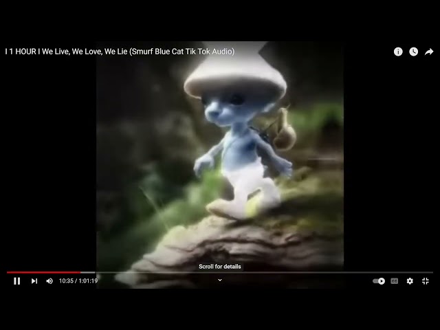 We live we love we lie (Blue Smurf Cat) (20 minutes)