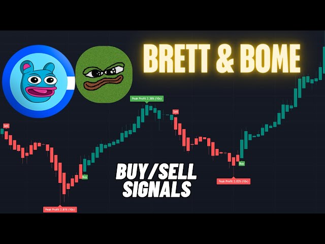 🔴  Live BRETT | BOME Trading Signals: Earn $100-$10k Daily | Scalping Strategies #bome #brett